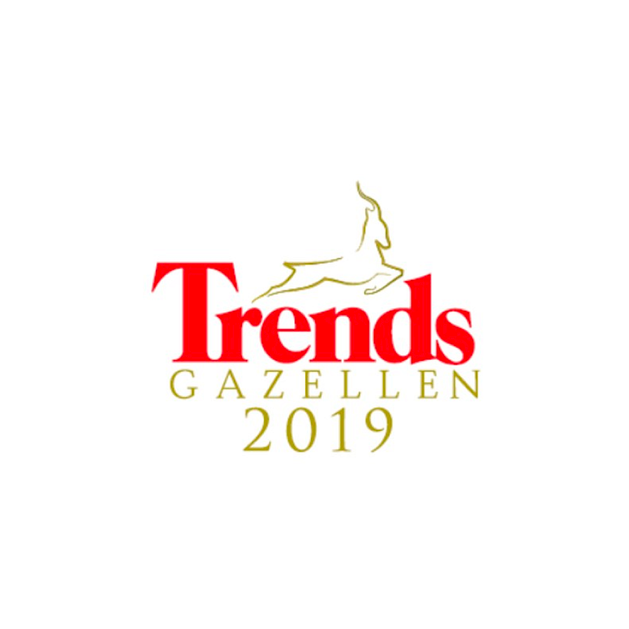3Motion- Trends